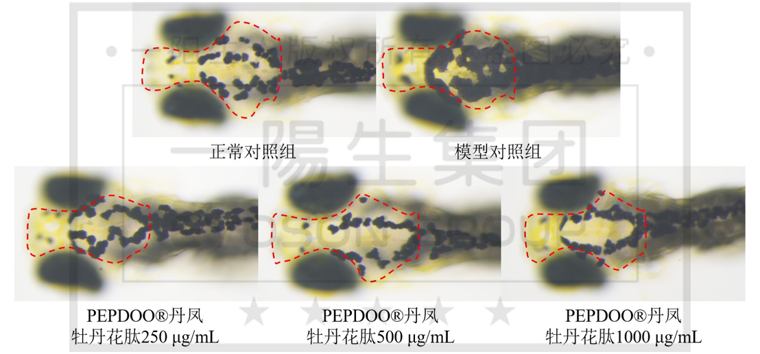 c7c7娱乐平台(中国)官方网站入口